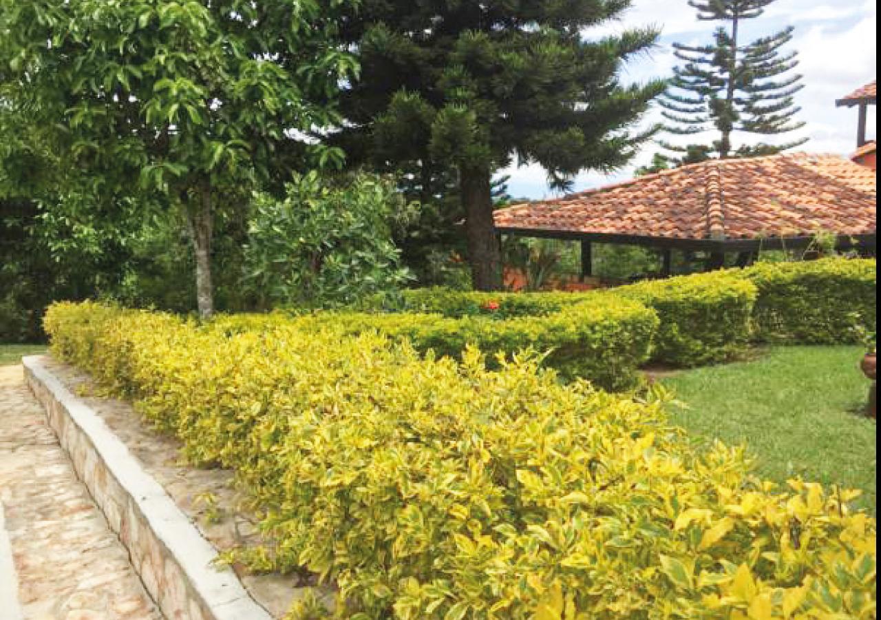 Hotel Cristo Rey Campestre Los Santos  Exterior foto